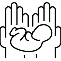 ser-1