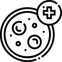 ser-11