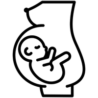 ser-13