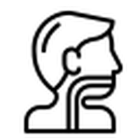 ser-4